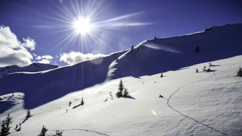 正在上传... bbd2c116-68e7-4359-a3aa-8574fb9e1814.png