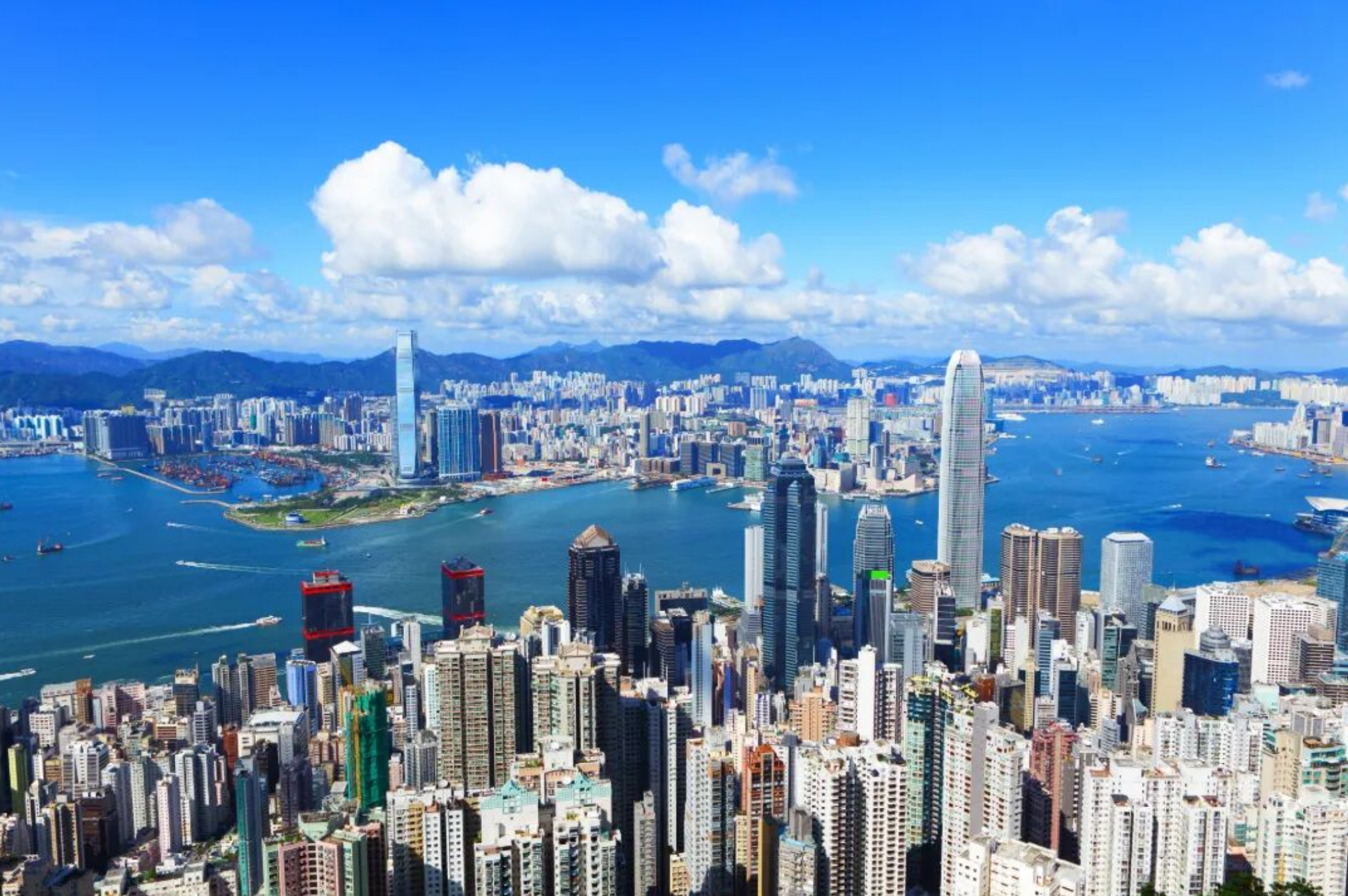 正在上传... 15b50963-dabe-48ec-adf5-cb29e3229c61.png