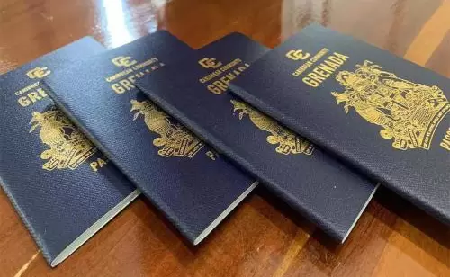 案例分享 | 恭喜Y先生一家获得格林纳达身份！