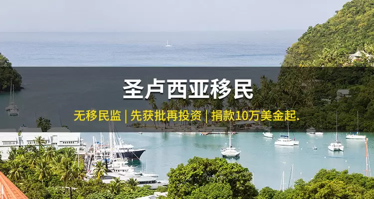 圣卢西亚护照项目