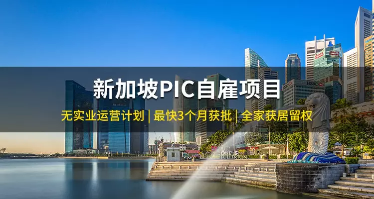新加坡PIC自雇项目