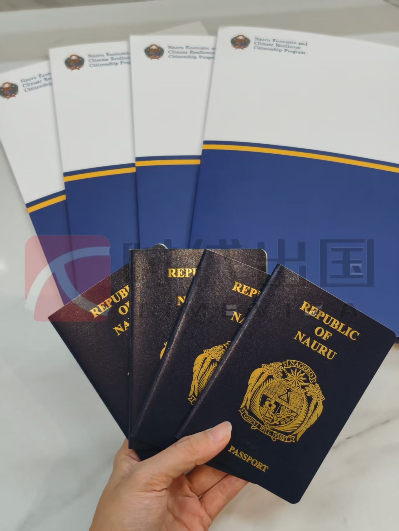微信图片_20260826140835_63_13.jpg